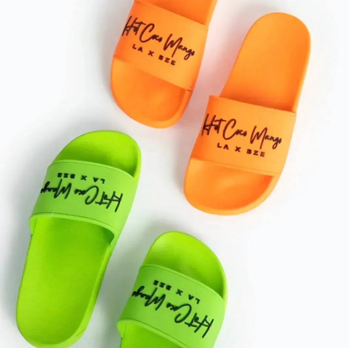 HCM - Logo Slides